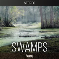 Swamps - Stereo (アンビエント)(効果音)(オンライン納品)(2時間以内に納品)