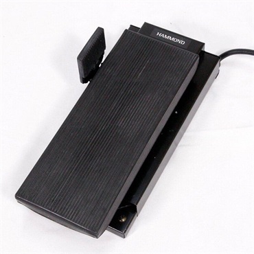 HAMMOND EXP-100F ｜イケベ楽器店オンラインストア