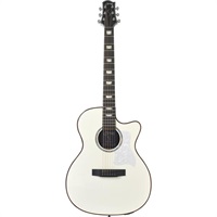 YATK-1400EC/SW(N) Sヤイリ