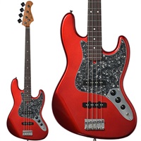 BJB-1-RSM/R-BPPG (CAR) [SPOTモデル]