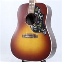【超目玉セール】Hummingbird Standard Rosewood (Rosewood Burst)?