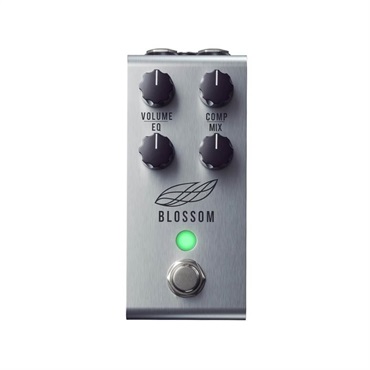 keeley Magnetic Echo（キーリー）テープエコー ｜イケベ楽器店