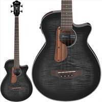 AEGB25E-TKH [SPOT MODEL] 【超目玉セール】