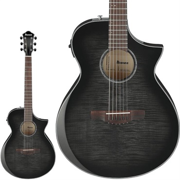 Ibanez 【夏のボーナスセール】【廃盤特価】AC340-OPN ｜イケベ楽器店