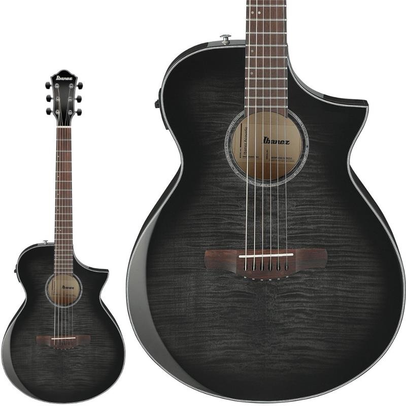 Ibanez 【新楽器応援セール】【本数限定特価】AEWC400-TKS