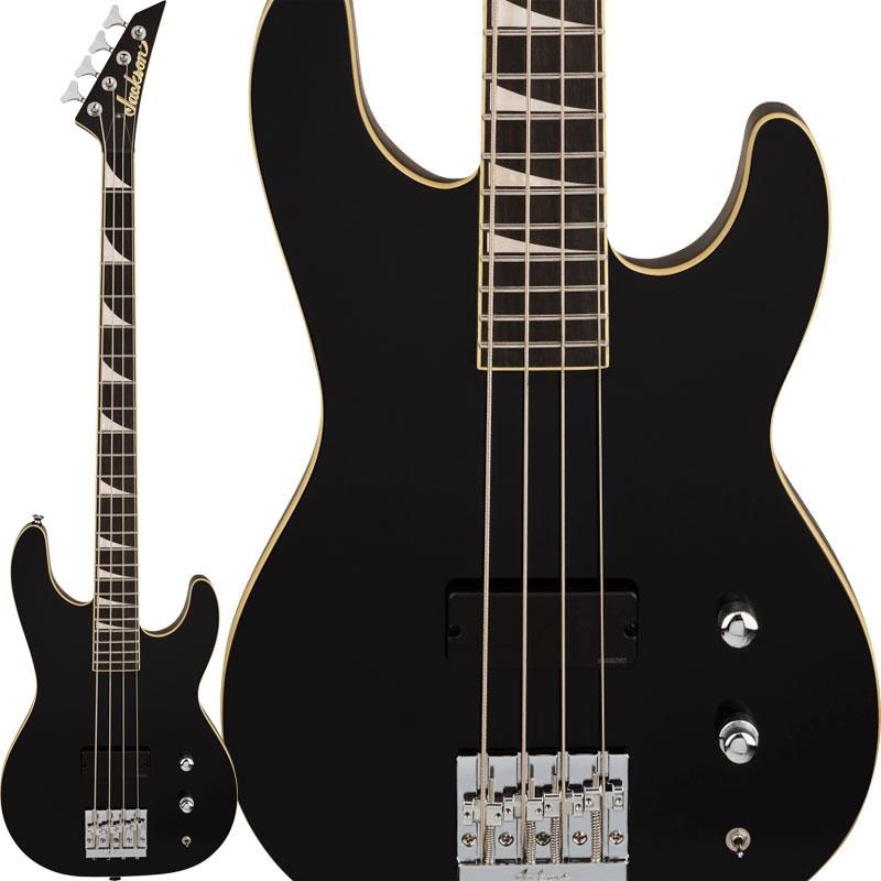 Pro Plus Limited Edition Pure Metal Concert Bass CB1A (Gloss Black/Ebony) 【特価】の商品画像