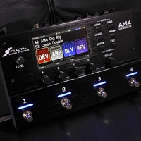 AM4 [AMP MODELER]