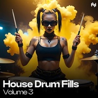 Elements - House Drum Fills 3 (ドラムフィル)(ハウス楽曲)(サンプルパック)(オンライン納品)(2時間以内に納品)