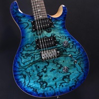 SE Custom 24 Burled Ash Limited Edition (Lake Blue) #CTI G108670 【2024年生産品】