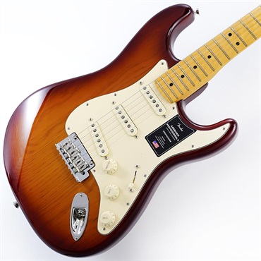エレキギター ストラトキャスター・STタイプ Fender Standard Series