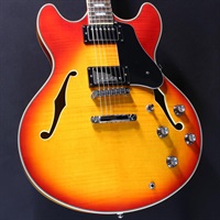 USED 中古 H7 (Cherry Sunbrst)