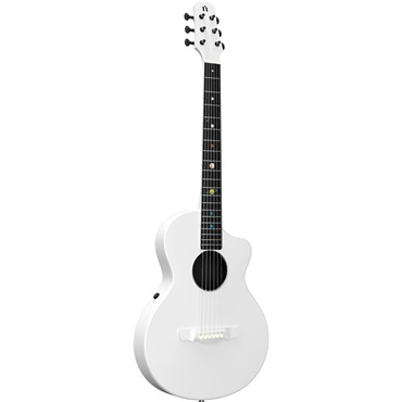 unknown USED 中古 Crazy Rock'n'roll Effecter / SWAG FACE275 CUSTOM