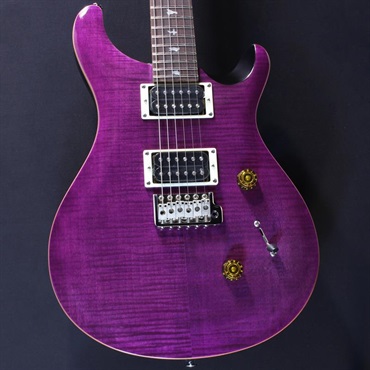 P.R.S. SE Custom 24 (Amethyst) #CTI G117146【2024年生産品