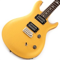 SE CE 24 Standard Satin (Metallic Gold) SN.CTIG073928 【2024年生産モデル】