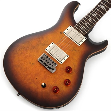 P.R.S. 【「THE IKEBE PRS VAULT」オープン記念キャンペーン】 SE DGT Laurel Burl Limited Edition (McCarty Tobacco Burst) SN.CTIG114585 【2024年生産モデル】