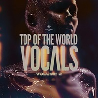 Top Of The World Vocals Vol 2 (ボーカル)(アンセミック)(サンプルパック)(オンライン納品)(2時間以内に納品)