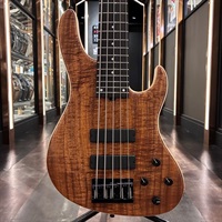 Limited Edition MetroLine 24-Fret Modern Bass 5st (AAA Koa Top) #038