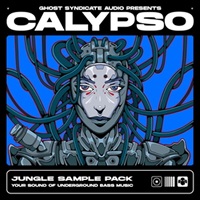 CALYPSO - Jungle (ジャングル)(ブレイクビート)(サンプルパック)(オンライン納品)(2時間以内に納品)