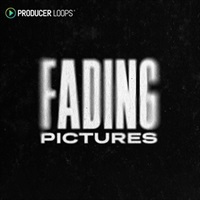 Fading Pictures (ハウス制作)(サンプルパック)(オンライン納品)(2時間以内に納品)