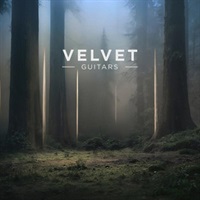 Velvet Guitars (スプリングリバーブ)(ギター音源)(オンライン納品)(2時間以内に納品)