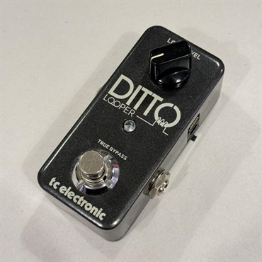 tc electronic DITTO+ ※国内正規品（ティーシーエレクトロニック