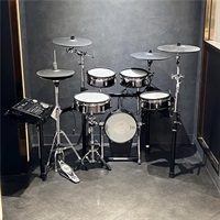 USED 中古品 TD-30 Custom Kit