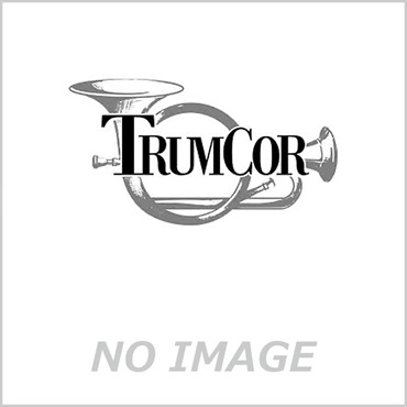 TrumCor トランコア / ストレート アルミ ピッコロ トランペット用 ミュート
