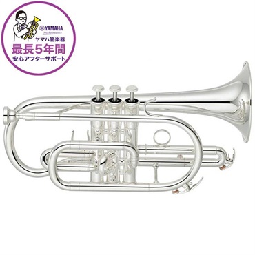 YAMAHA ヤマハ / YCR-4330GSII 【Bb コルネット】【5年保証】【出荷前調整で安心】
