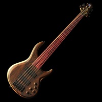 535-24 (Ziricote Top) / 2026 NAMM MODEL