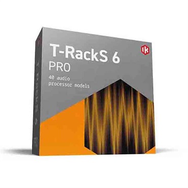 IK Multimedia T-RackS 6 Pro(オンライン納品)