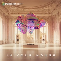 In Your House (ファンキーハウス)(ヌディスコ)(サンプルパック)(オンライン納品)(2時間以内に納品)