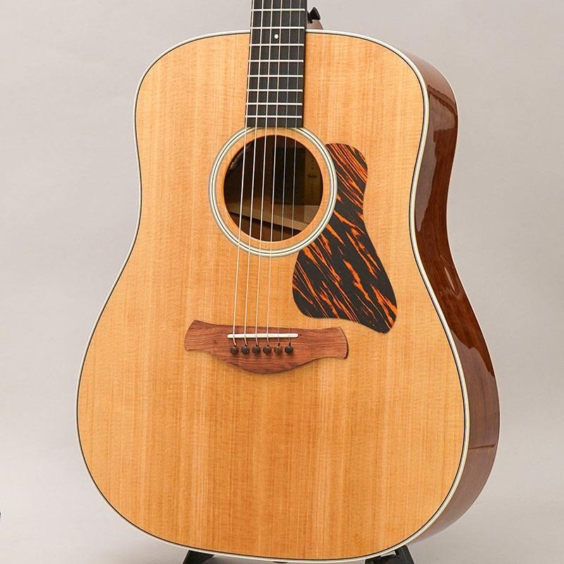 TAYLOR Gold Label 510e テイラー ｜イケベ楽器店オンラインストア