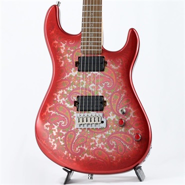 unknown USED 中古 Dhatarattha CUSTOM GUITAR Performance S Paisley (Red Burst)
