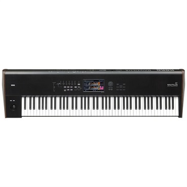 KORG 【春得セール】Pa300 (完全台数限定・DS-1H純正ダンパーペダル付 