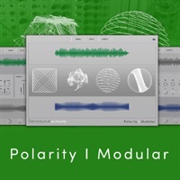Polarity Modular (グラニュラーシンセ)(デュアルレイヤー)(ポラリティモジュラー)(オンライン納品)(2時間以内に納品)