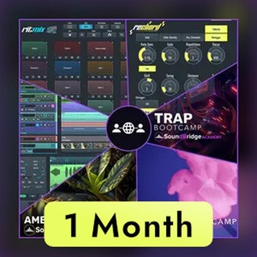 SoundBridge SoundBridge Everything Bundle (1 Month)(オンライン納品)(2時間以内に納品)