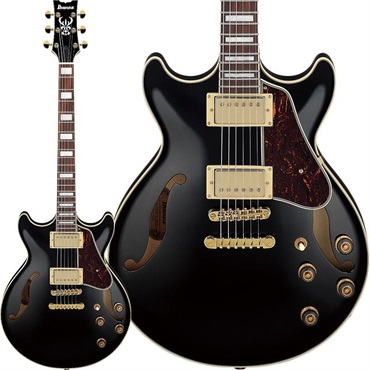 Ibanez 【3月18日入荷予定】 Artcore AM73G-BK (Black) [SPOT MODEL]