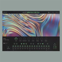 Leap Expansion - Millennium Hip Hop (ヒップホップ)(R&B)(ポップス)(オンライン納品)(2時間以内に納品)