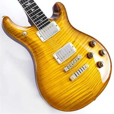 P.R.S. SE DGT (Gold Top / Moon Inlays) ｜イケベ楽器店オンラインストア