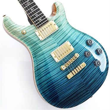 P.R.S. Private Stock #11125 McCarty 594 Brazilian Rosewood Neck & Fingerboard (Sub-Zero fade)