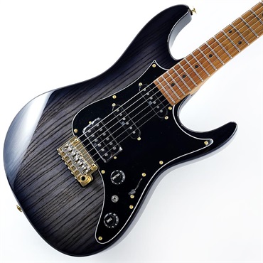 Prestige AZ2204AG-TGB (Transparent Gray Burst)