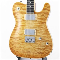 USED 中古 AT-TERRY HSB/E CR(Honey Sunburst)[SN.57110]ムーン