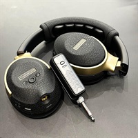 USED 中古 Spark Neo (Positive Grid ポジティブグリッド)