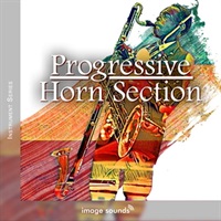 Progressive Horn Section (ファンク)(ホーンセクション)(サンプルパック)(オンライン納品)(2時間以内に納品)