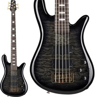 NS ICON Bolt-on 5 (Black Stain Gloss)