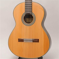 YC-8 【お取り寄せ】