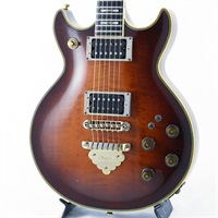 USED 中古 AR300 [SN.L830770]アイバニーズ