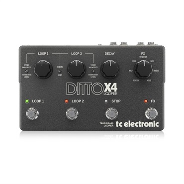 tc electronic DITTO X2 LOOPER ｜イケベ楽器店オンラインストア
