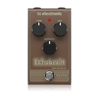 ECHOBRAIN ANALOG DELAY