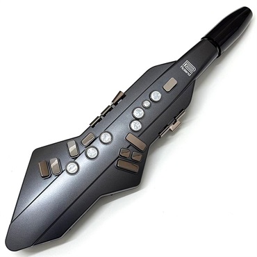 Roland USED 中古 ローランド デジタル管楽器 Aerophone GO AE-05 エアロフォンGO 【初期不良1ヶ月保証】